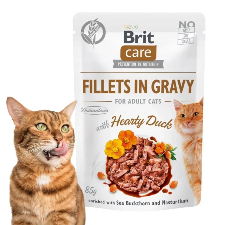 brit-care-cat-fillets-85g-soczysta-kaczka-detal.webp