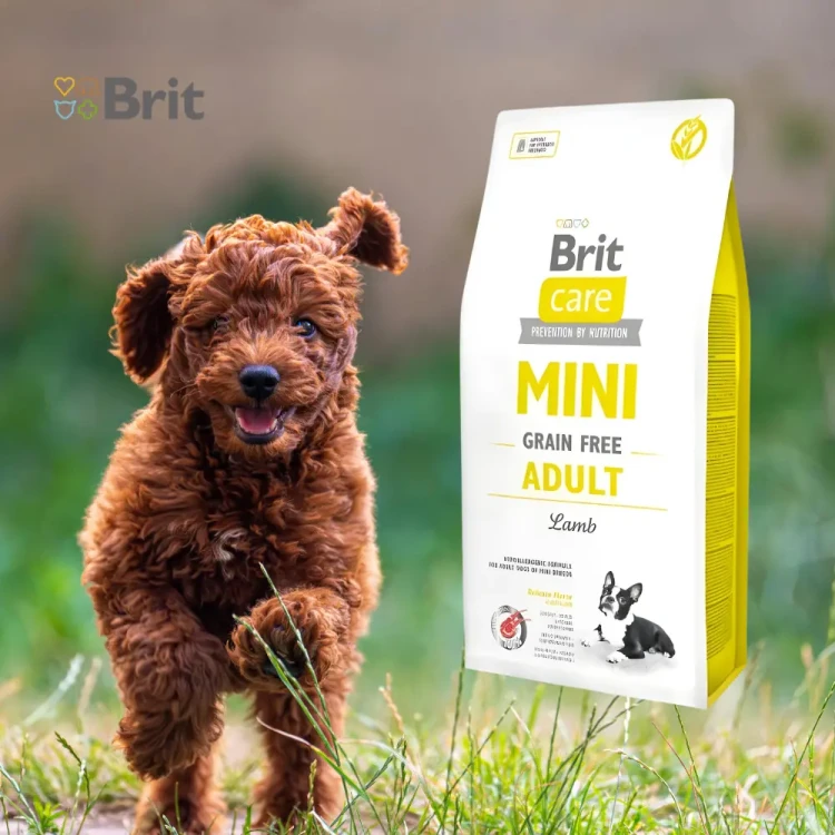 Brit Care Dog Mini Grain Free Adult Lamb 7 kg karma dla psa jagnięcina