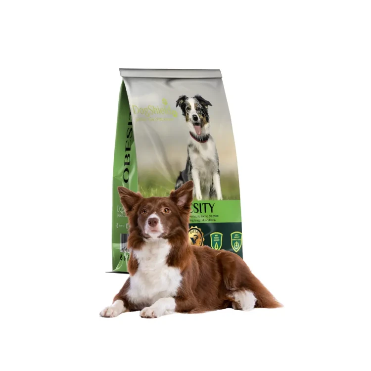 dogshield-dog-obesity-kurczak.webp
