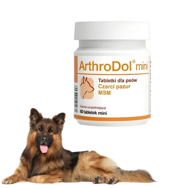 arthrodol-pies-aktywnosc.webp