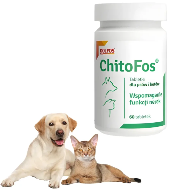 dolvit-chitofos-pies-kot.webp