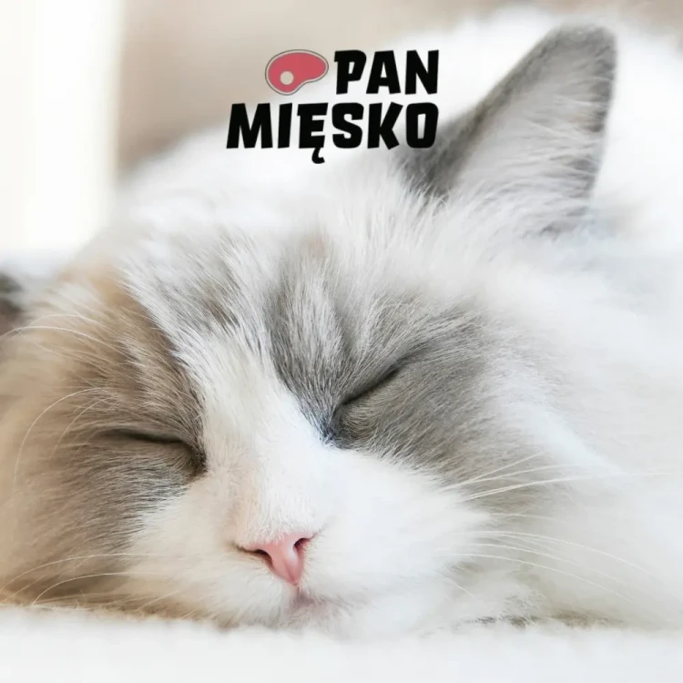 Pan Mięsko Filety z Kaczki 100g Naturalny przysmak dla kota