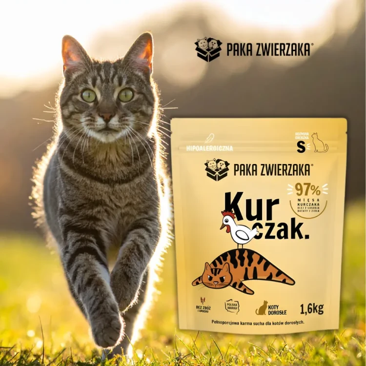 Paka Zwierzaka Kurczak S 1,6kg Sucha karma dla kota BEZ ZBÓŻ
