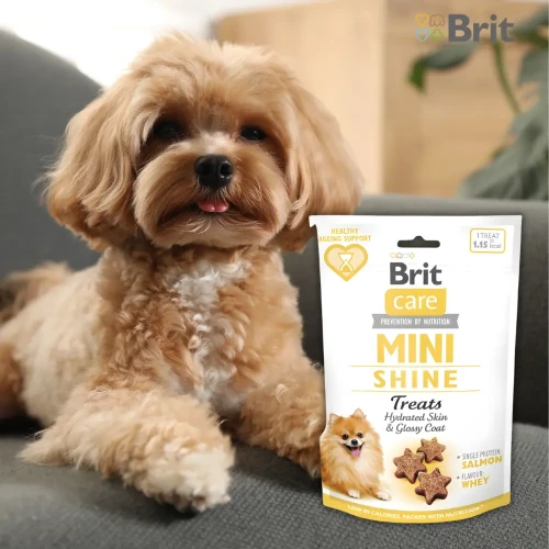 brit-care-mini-shine-losos-zalety-na-siersc.webp