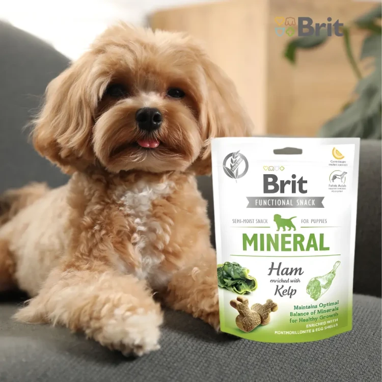 brit-care-puppy-functional-snack-mineral-ham-150g-przysmaki-szczeniak.webp