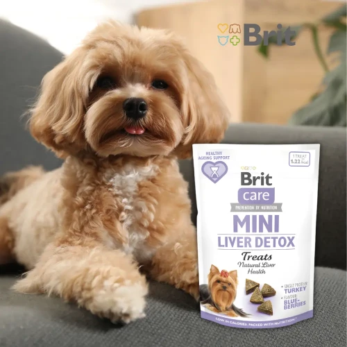 brit-care-mini-treats-liver-detox-jagniecina-przysmaki-male-psy.webp