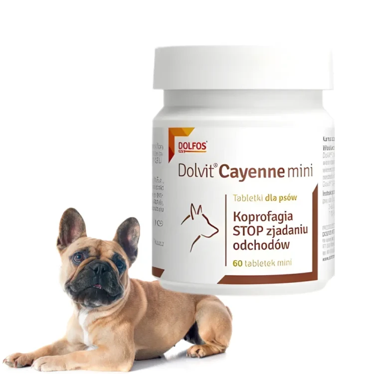 dolfos-dolvit-cayenne-60-mini-opakowanie-detal-pies.webp