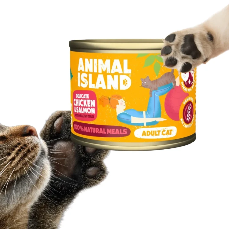 animal-island-kurczak-losos-mokra-karma-dla-kot.webp