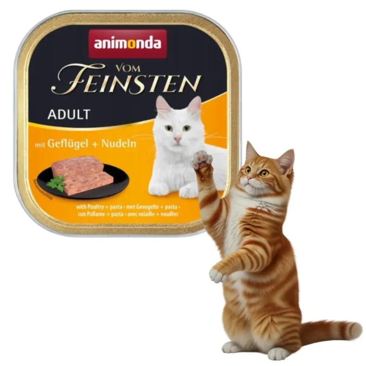 Animonda vom Feinsten Adult drób i makaron 6x100g Mokra karma dla kota