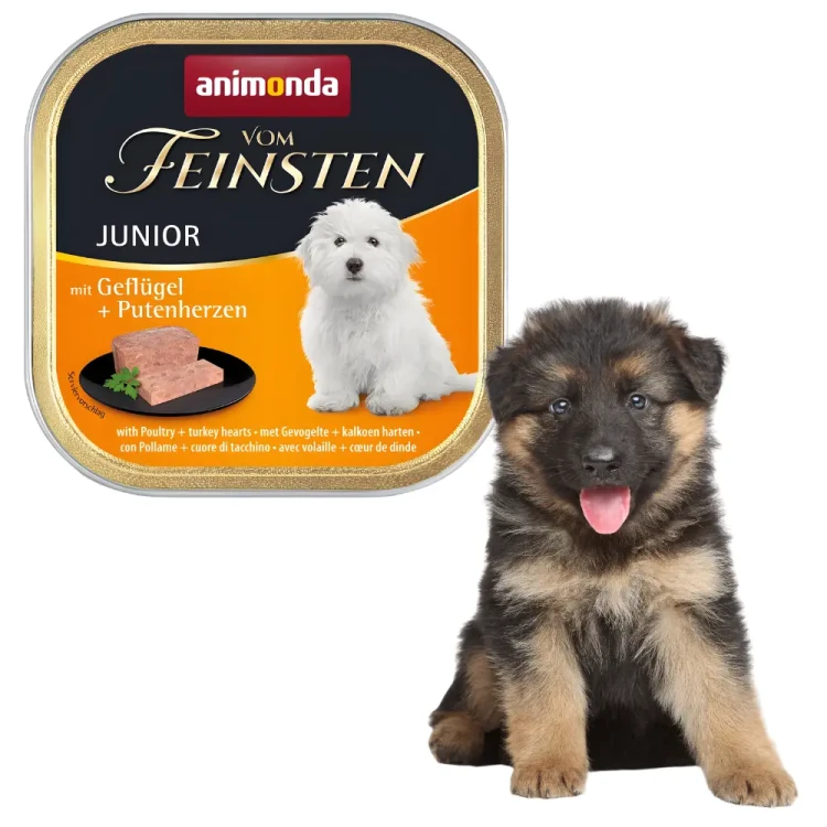 Animonda vom Feinsten Junior Drób i serca indyka 24x150g Mokra karma dla szczeniąt