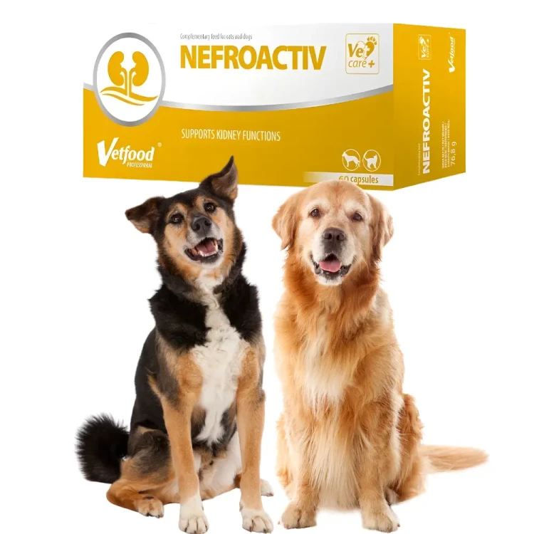 vetfood-nefroactiv-60-kapsulek-opakowanie.webp
