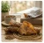 tchawica-suszona-naturalny-przysmak-dla-psa.webp