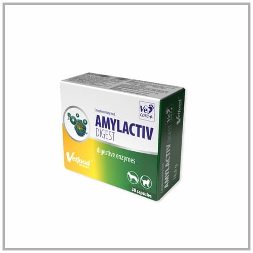 zoomisia_Amylactiv_Digest_30.jpg