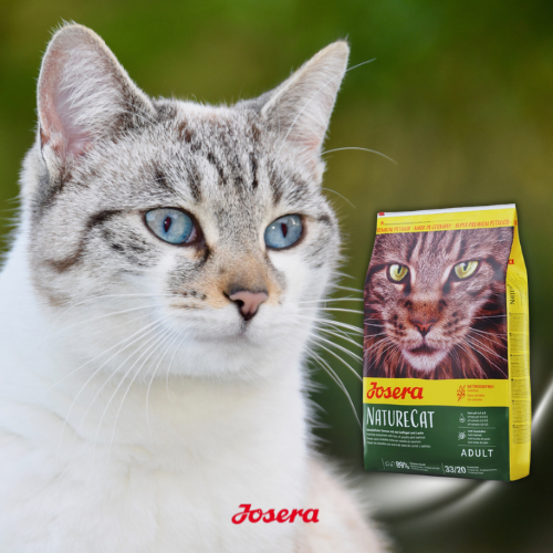 JOSERA NatureCat 10 kg Bezzbożowa karma dla aktywnych kotów z łososiem