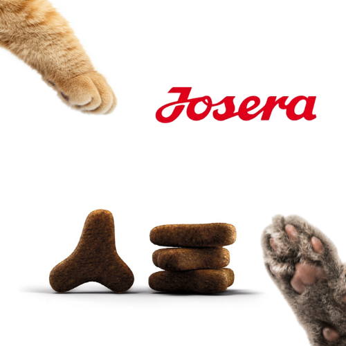 JOSERA NatureCat 10 kg Bezzbożowa karma dla aktywnych kotów z łososiem