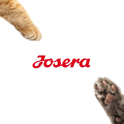 Josera Culinesse 10 kg Sucha karma dla wybrednych kotów z łososiem