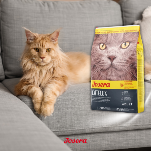 Josera Catelux 10 kg  Sucha karma odkłaczająca dla dorosłych kotów z kaczką