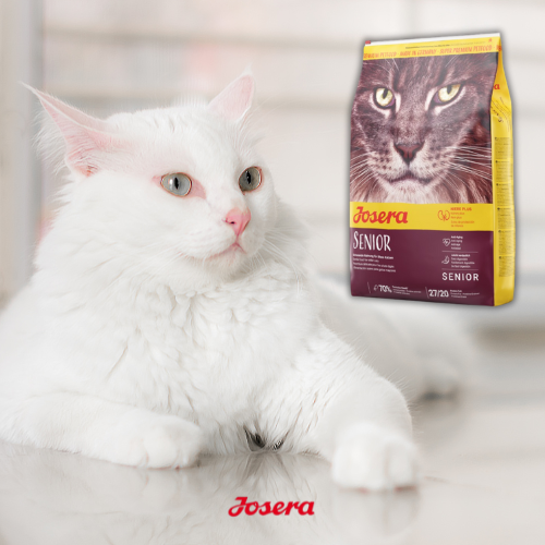 Josera Senior 2 kg  Sucha karma dla kotów starszych wspierająca zdrowie