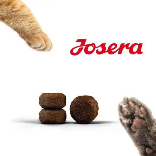 Josera Senior 2 kg  Sucha karma dla kotów starszych wspierająca zdrowie