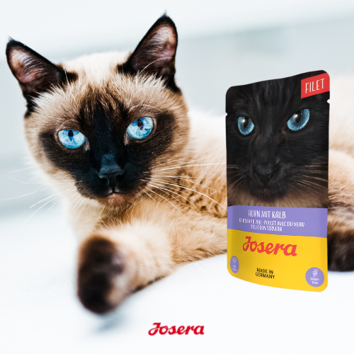 Josera Filet Kurczak z Cielęciną 70 g  Bezzbożowa mokra karma dla kotów