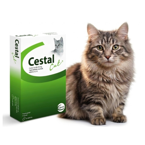 Ceva Cestal Cat 8 szt. tabletki na odrobaczanie dla kota od 6 tygodnia