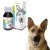 EUPHORIA Multi Vitum DOG 100 ml na odporność witaminy