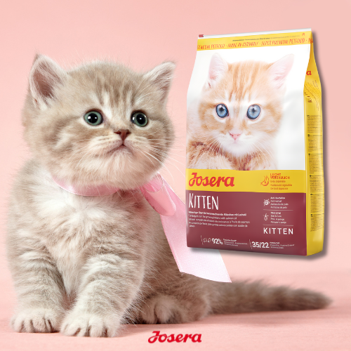 Josera Kitten 2 kg sucha karma dla kociąt z kurczakiem