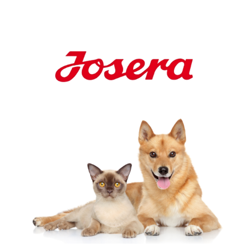 Josera Kitten 2 kg sucha karma dla kociąt z kurczakiem
