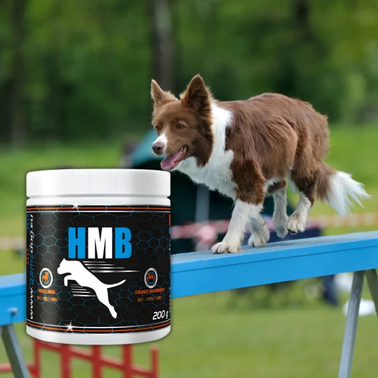 Game Dog HMB 200g preparat na masę mięśniową dla psa sportowego i seniora