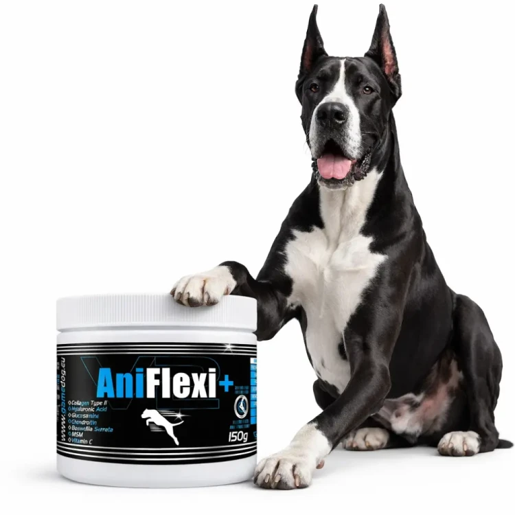 Game Dog AniFlexi+ V2 150g preparat na stawy dla psa zwyrodnienia dysplazja