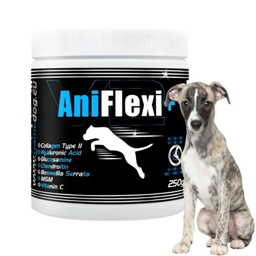 Game Dog AniFlexi+ V2 500g preparat na stawy dla psa zwyrodnienia dysplazja