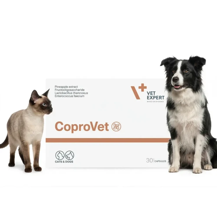 VetExpert Coprovet 30 kaps. przeciw zjadaniu odchodów dla psa i kota