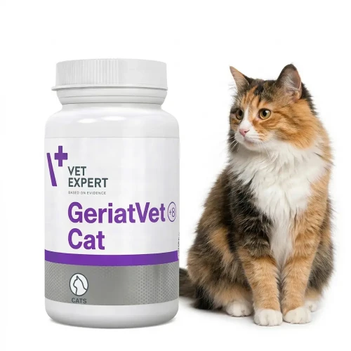 VetExpert GeriatiVet Cat 60 kapsułek Preparat dla starszych kotów Senior