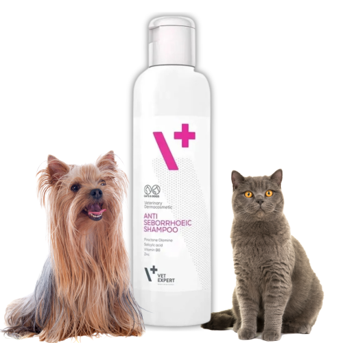 vetexpert-antiseborrhoeic-szampon-przeciw-lupiezowy.png