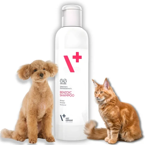 VetExpert Benzoic Shampoo 250ml Szampon dla psa i kota na  łojotok tłusty