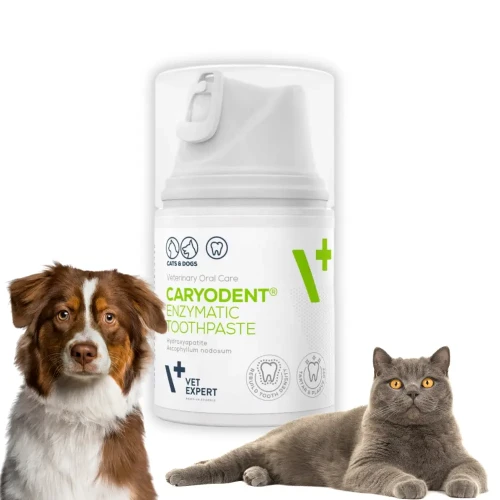 VetExpert CaryoDent Enzymatyczna Pasta do zębów dla psa i kota 50ml