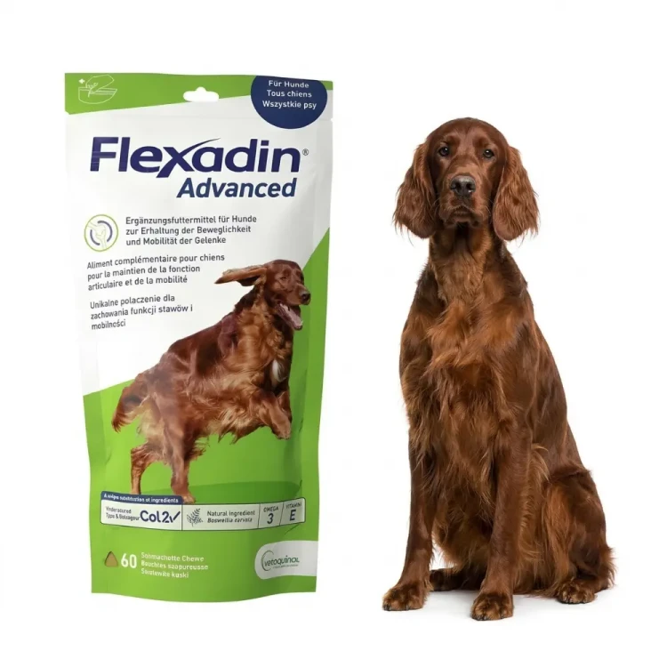 Vetoquinol Flexadin Advanced 60 szt. Przysmaki na stawy dla psa