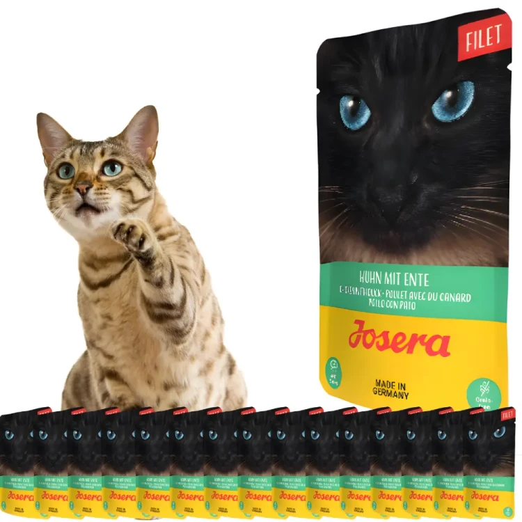 Josera Filet Kurczak z Kaczką 16x70 g Mokra karma dla kota w saszetce