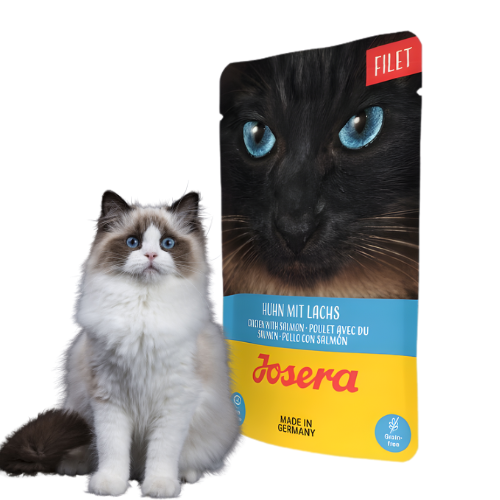 Josera Filet Kurczak z Łososiem 16x70 g Mokra karma dla kota