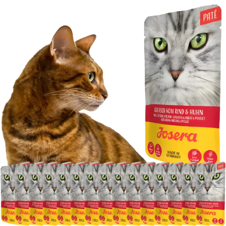 Josera Pate Gulasz z kurczakiem i wołowiną 16x85 g Mokra karma dla kota
