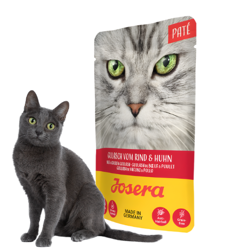 Josera Pate Gulasz z kurczakiem i wołowiną 16x85 g Mokra karma dla kota