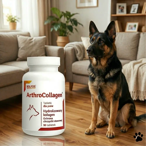 dolfos-preparat-z-kolagenem-na-stawy-dla-psa.webp