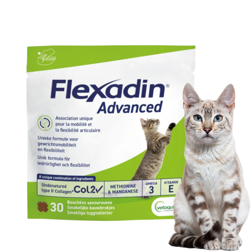 flexadin advanced na stawy dla kota.png