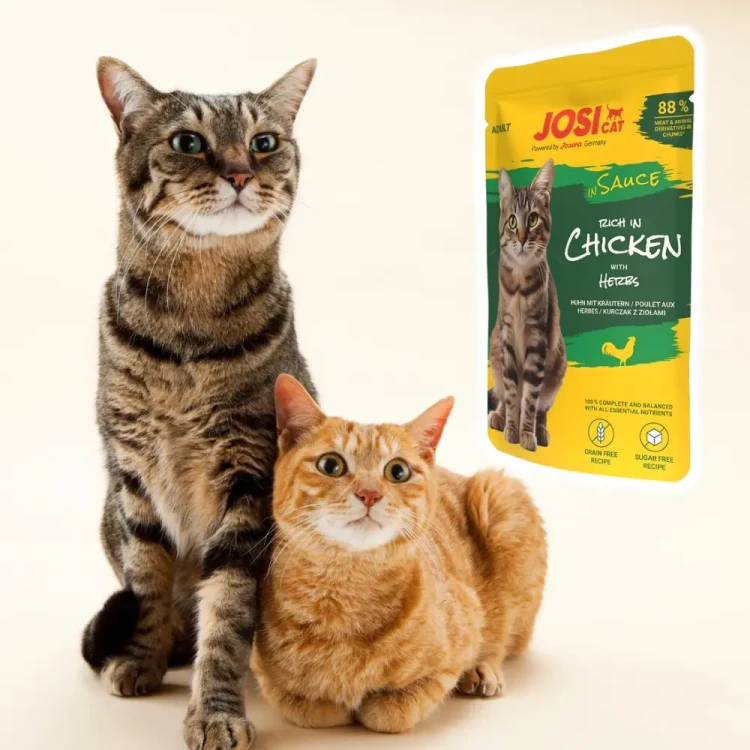 JosiCat Rich z Kurczakiem w Sosie 85g Mokra karma dla kota saszetka
