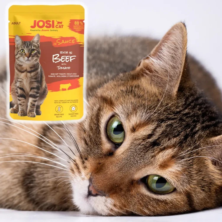 JosiCat Bogata w Wołowinę w Sosie 85g Mokra karma dla kota saszetka