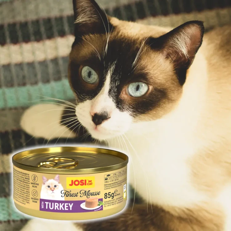 JosiCat Finest Mus z Indykiem 85g Mokra karma dla kota