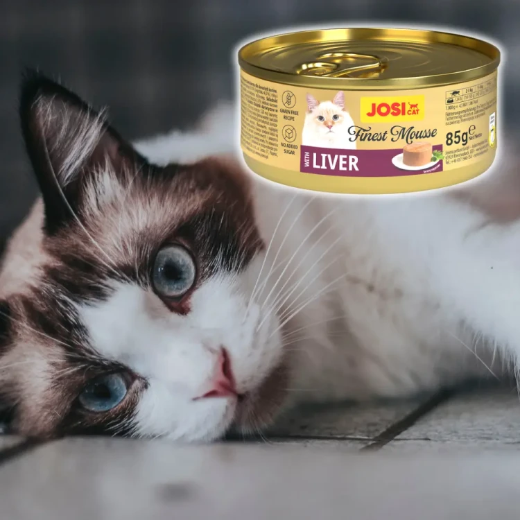 JosiCat Finest Mus z Wątróbką 85g Mokra karma dla kota