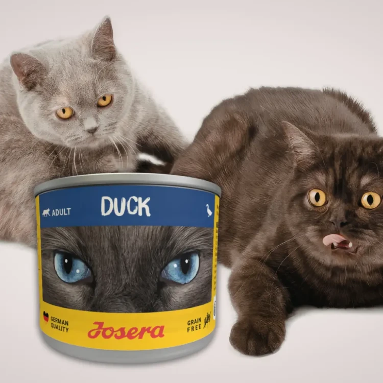 Josera Adult Kaczka 200g Mokra karma dla kota bezzbożowa w sosie