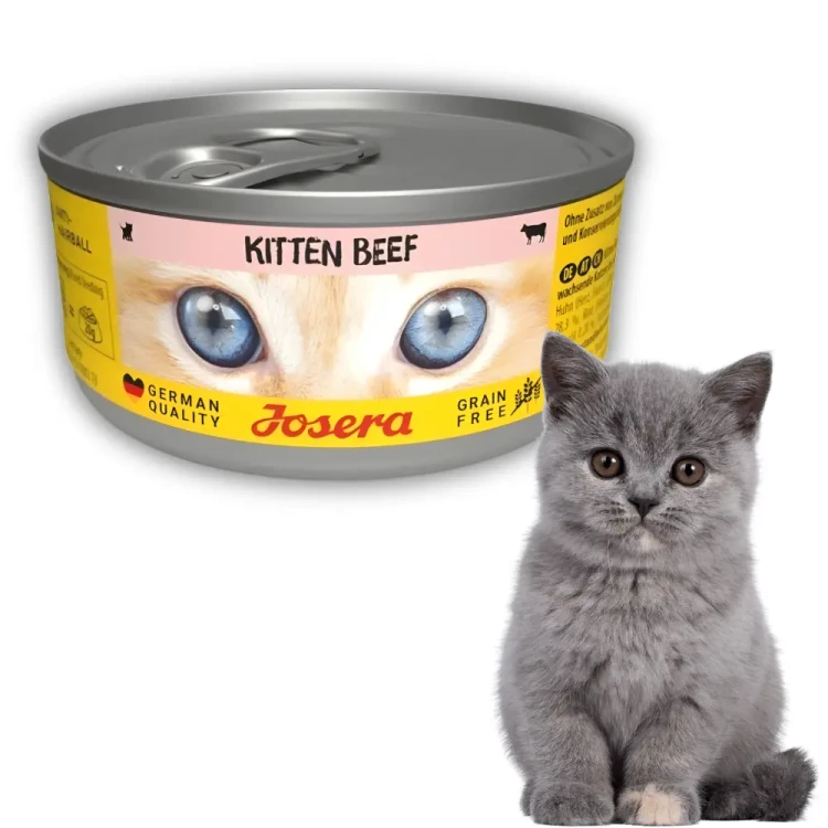 Josera Kitten Wołowina 85g Mokra karma dla kociąt bezzbożowa w sosie
