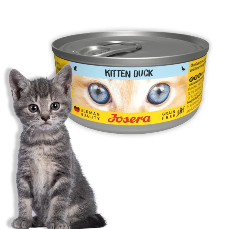 Josera Kitten Kaczka 85g Mokra karma dla kociąt bezzbożowa w sosie